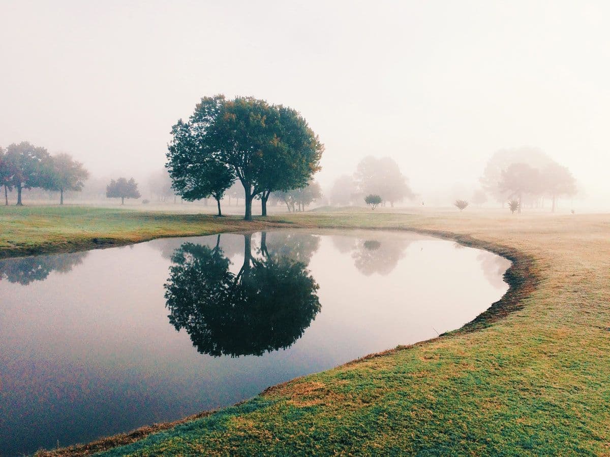 Course art